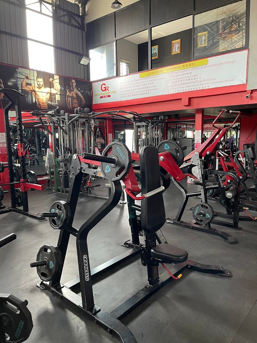 Gold Rooster Gym — photo 1
