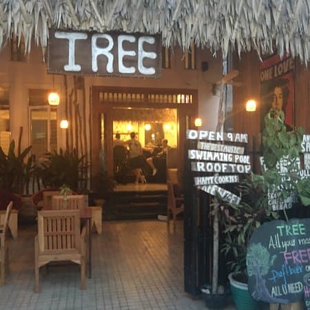 TREE bar — photo 1