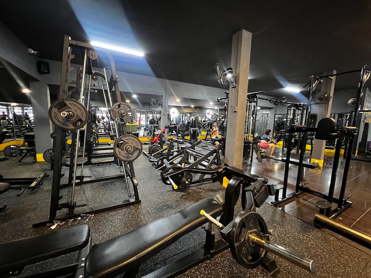 Wave Gym 3 — photo 1