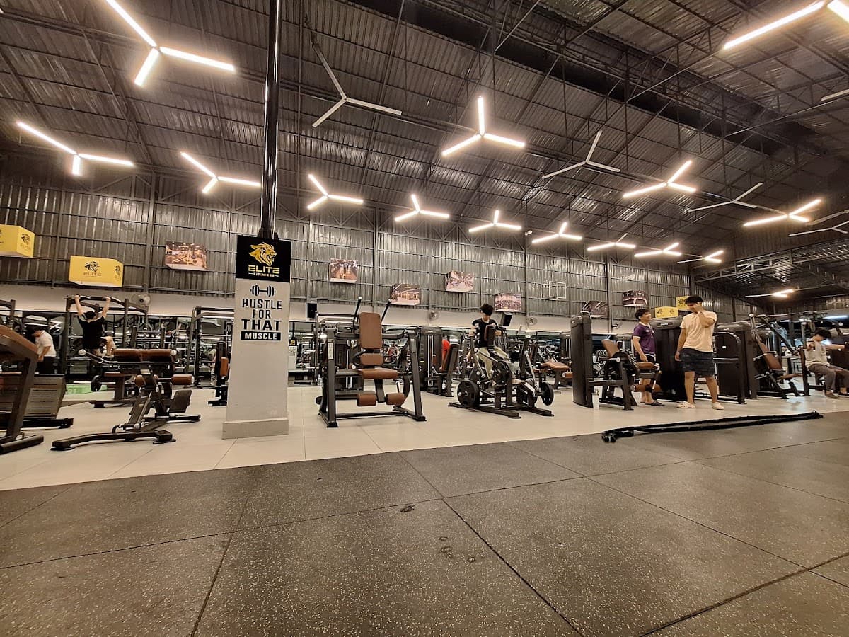 Elite Fitness TSK Branch — photo 1